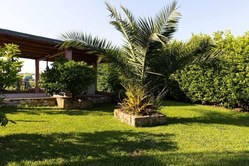 Casale Toscano Piscina Wi-Fi Capannori Eksteriør bilde